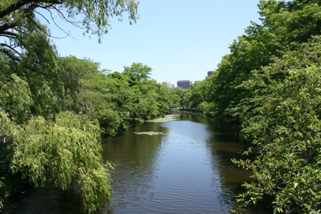 img_6640.jpg