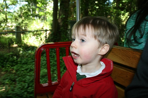 img_5562.jpg