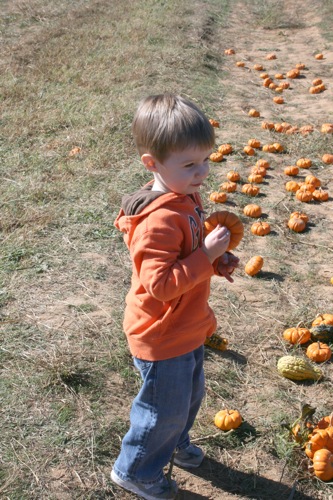 img_8893.jpg